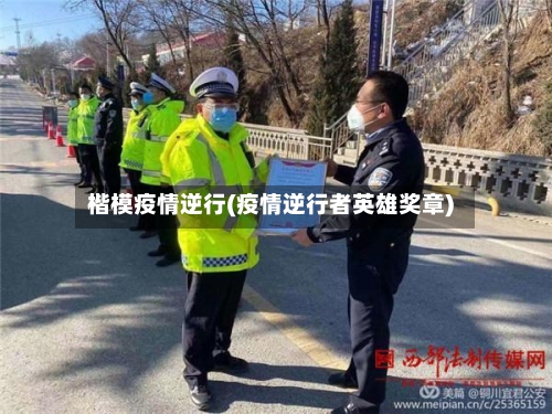 楷模疫情逆行(疫情逆行者英雄奖章)-第3张图片