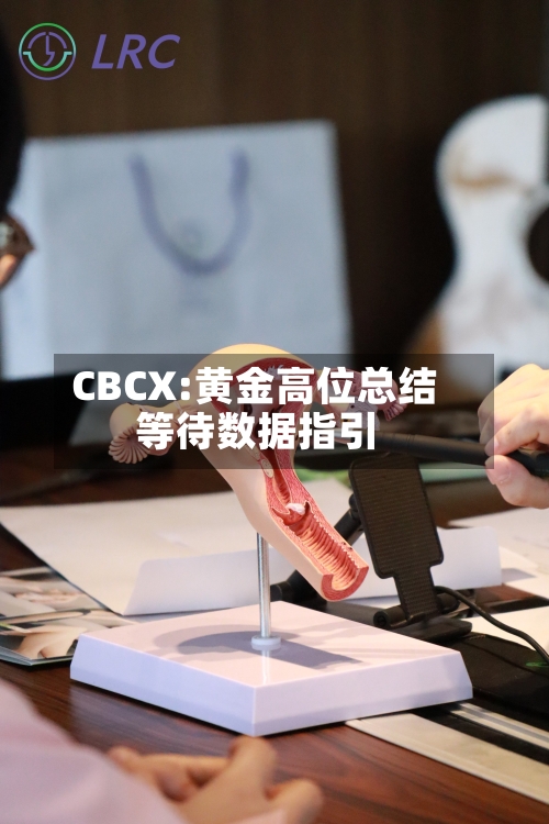 CBCX:黄金高位总结
等待数据指引-第2张图片