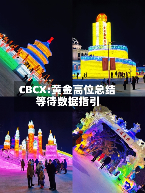 CBCX:黄金高位总结
等待数据指引-第3张图片