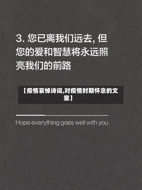 【疫情哀悼诗词,对疫情时期怀念的文案】-第3张图片