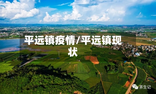 平远镇疫情/平远镇现状