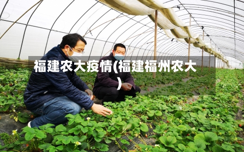 福建农大疫情(福建福州农大)