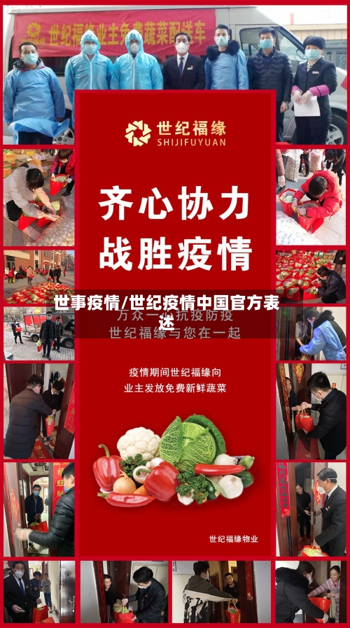 世事疫情/世纪疫情中国官方表述