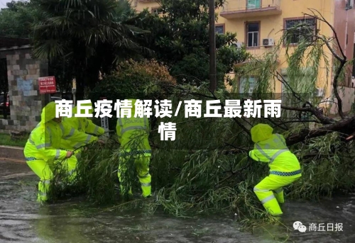 商丘疫情解读/商丘最新雨情