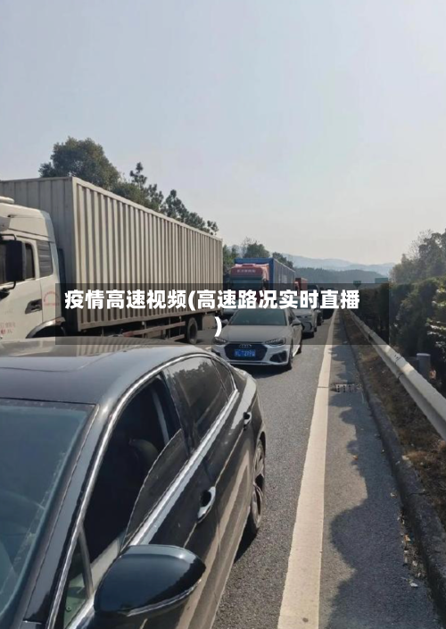 疫情高速视频(高速路况实时直播)