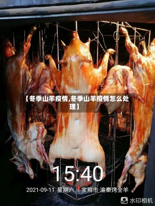 【冬季山羊疫情,冬季山羊疫情怎么处理】-第2张图片