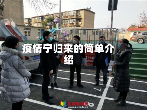 疫情宁归来的简单介绍-第2张图片