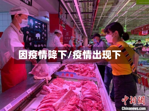 因疫情降下/疫情出现下-第2张图片