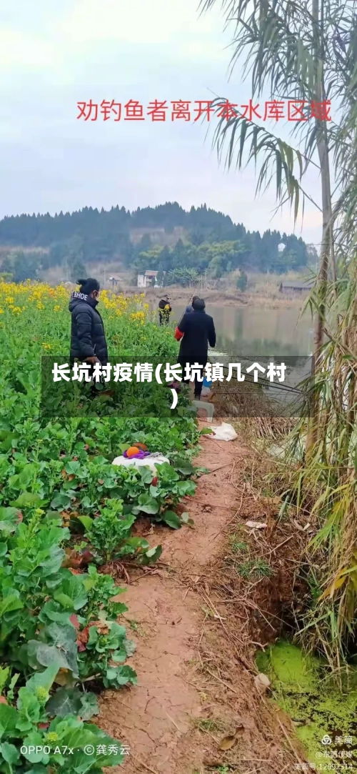 长坑村疫情(长坑镇几个村)-第2张图片