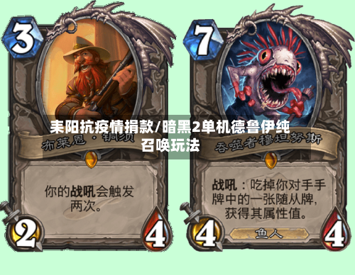 耒阳抗疫情捐款/暗黑2单机德鲁伊纯召唤玩法
