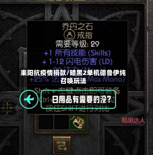 耒阳抗疫情捐款/暗黑2单机德鲁伊纯召唤玩法-第2张图片