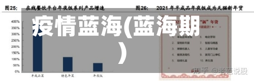 疫情蓝海(蓝海期)