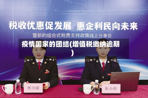 疫情国家的团结(增值税缴纳逾期)