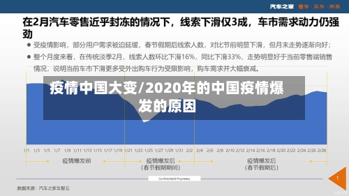 疫情中国大变/2020年的中国疫情爆发的原因