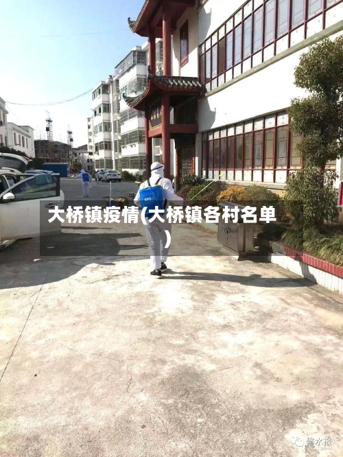 大桥镇疫情(大桥镇各村名单)