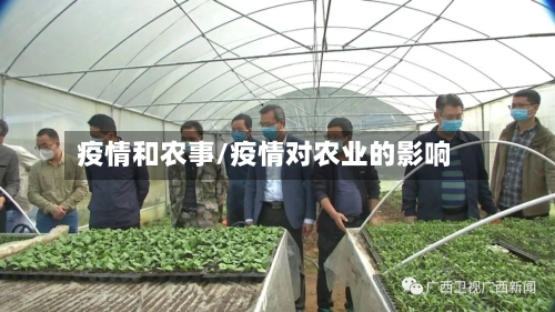 疫情和农事/疫情对农业的影响