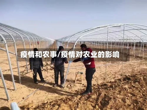 疫情和农事/疫情对农业的影响-第2张图片