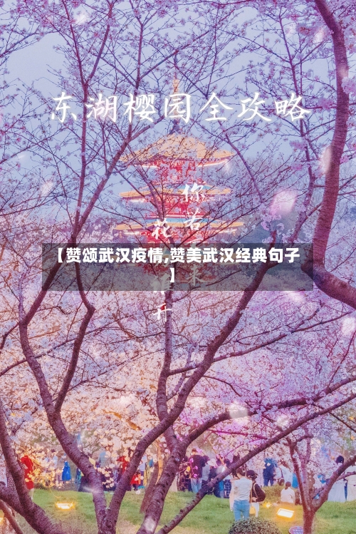 【赞颂武汉疫情,赞美武汉经典句子】