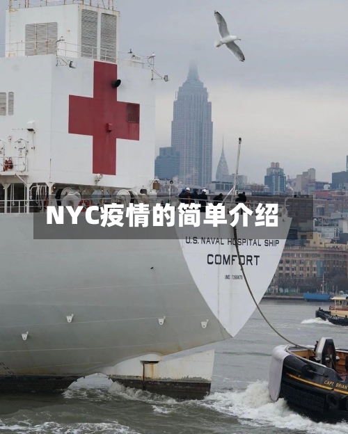 NYC疫情的简单介绍-第2张图片