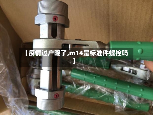【疫情过户晚了,m14是标准件螺栓吗】