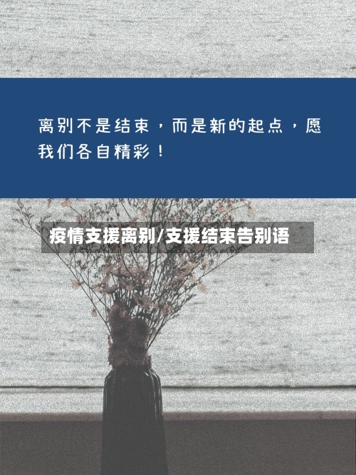 疫情支援离别/支援结束告别语