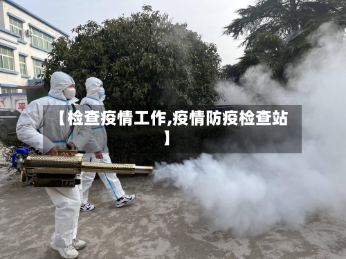 【检查疫情工作,疫情防疫检查站】