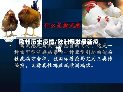 欧州历史疫情/欧洲爆发最新疫情