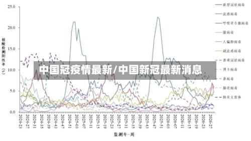 中国冠疫情最新/中国新冠最新消息-第3张图片