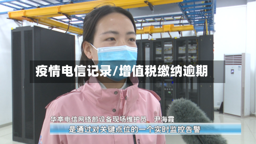 疫情电信记录/增值税缴纳逾期-第3张图片