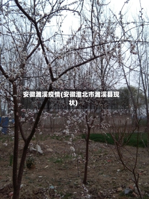 安徽濉溪疫情(安徽淮北市濉溪县现状)-第2张图片