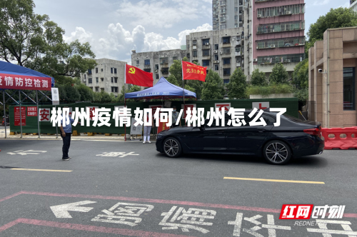 郴州疫情如何/郴州怎么了-第3张图片