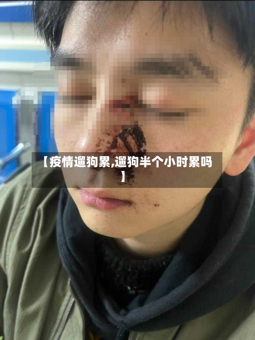 【疫情遛狗累,遛狗半个小时累吗】