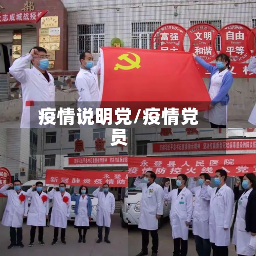 疫情说明党/疫情党员