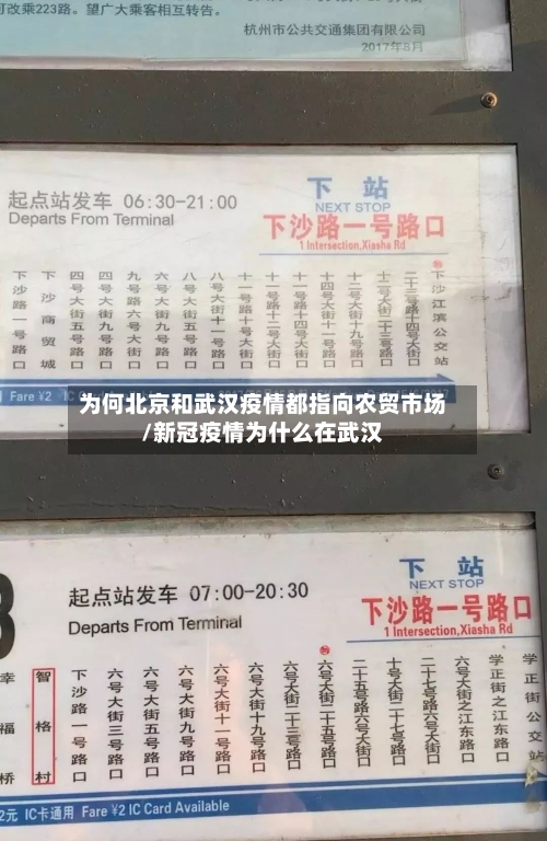 为何北京和武汉疫情都指向农贸市场/新冠疫情为什么在武汉-第2张图片
