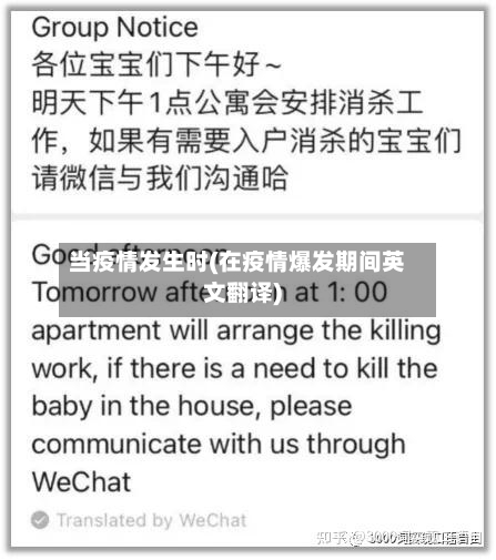 当疫情发生时(在疫情爆发期间英文翻译)