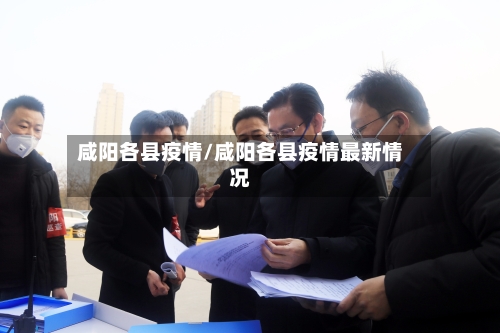 咸阳各县疫情/咸阳各县疫情最新情况-第2张图片