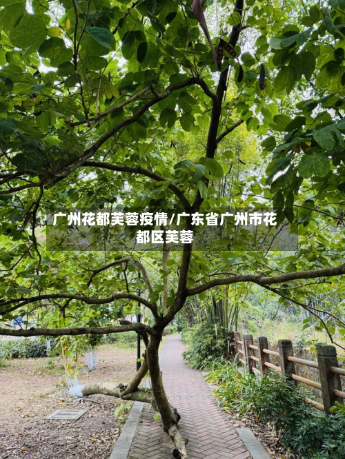 广州花都芙蓉疫情/广东省广州市花都区芙蓉-第3张图片
