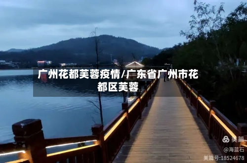 广州花都芙蓉疫情/广东省广州市花都区芙蓉
