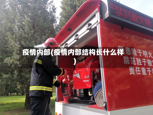 疫情内部(疫情内部结构长什么样)-第3张图片