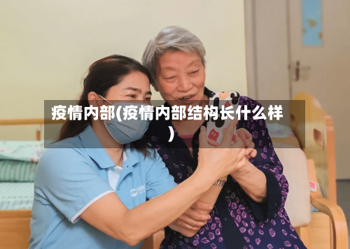 疫情内部(疫情内部结构长什么样)-第2张图片