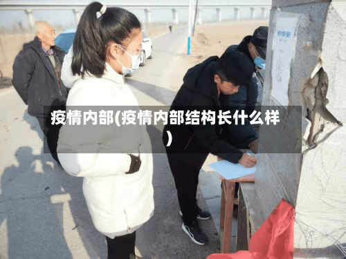 疫情内部(疫情内部结构长什么样)