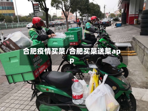 合肥疫情买菜/合肥买菜送菜app