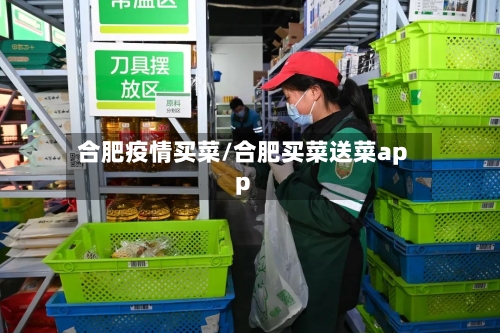 合肥疫情买菜/合肥买菜送菜app-第2张图片