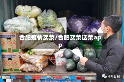 合肥疫情买菜/合肥买菜送菜app-第3张图片