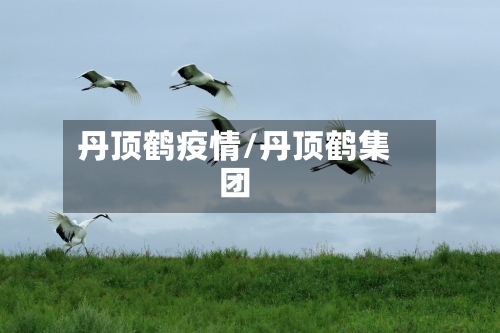 丹顶鹤疫情/丹顶鹤集团-第3张图片