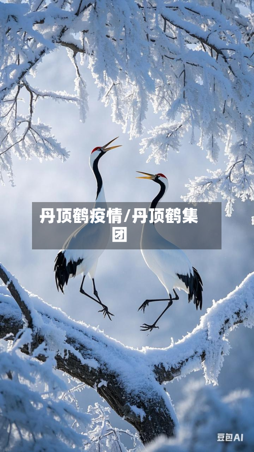 丹顶鹤疫情/丹顶鹤集团-第2张图片