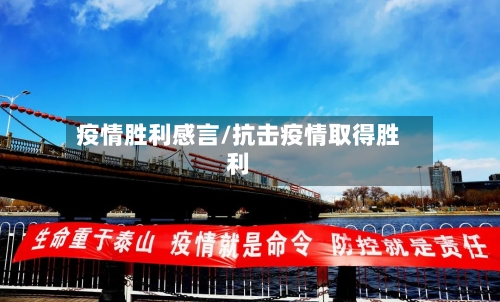 疫情胜利感言/抗击疫情取得胜利-第2张图片