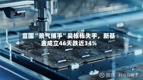 富国“景气捕手	”吴栋栋失手，新基金成立46天跌近34%-第2张图片