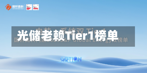 光储老赖Tier1榜单-第2张图片
