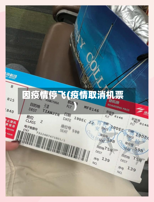 因疫情停飞(疫情取消机票)
